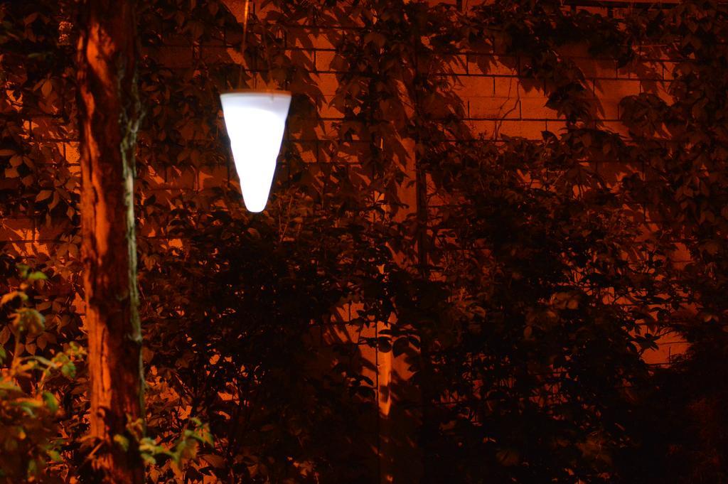 Exit Routine Hostel Temešvár Exteriér fotografie